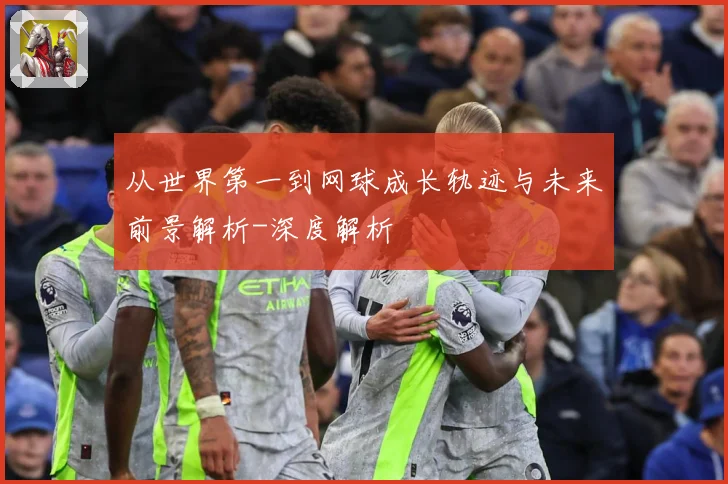 从世界第一到网球成长轨迹与未来前景解析-深度解析