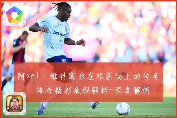 阿xel·维特塞尔在绿茵场上的传奇之路与精彩表现解析-深度解析