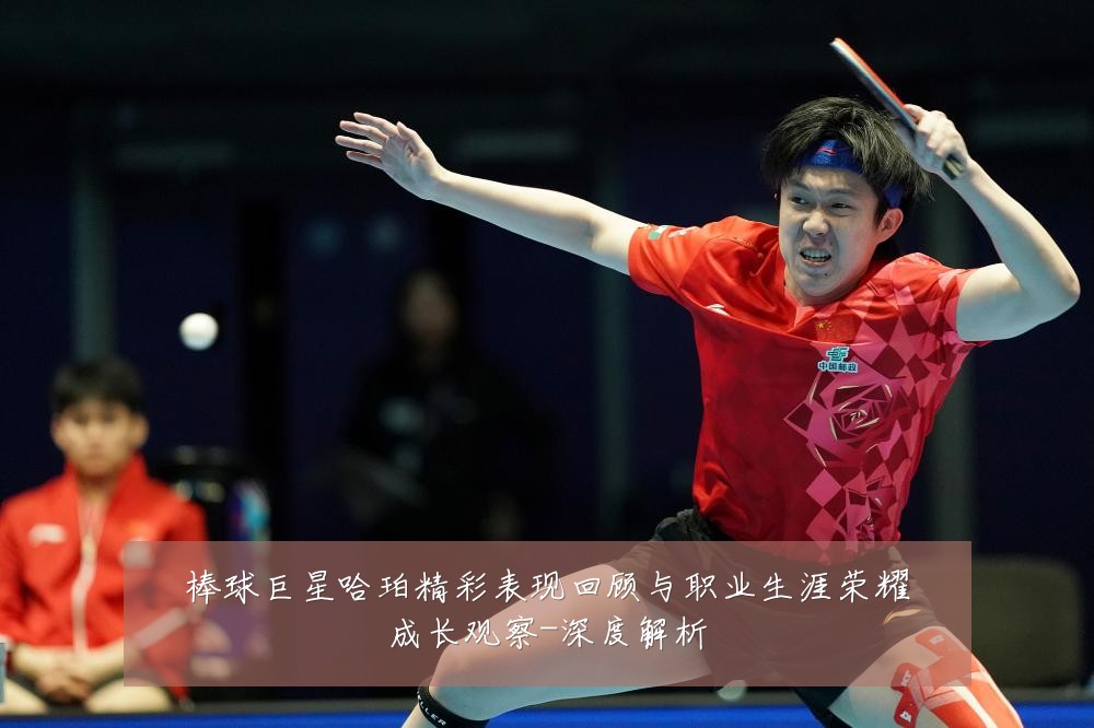 棒球巨星哈珀精彩表现回顾与职业生涯荣耀成长观察-深度解析