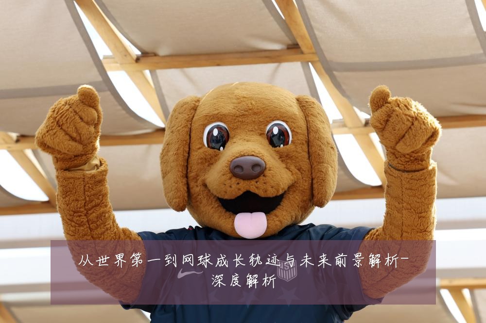 从世界第一到网球成长轨迹与未来前景解析-深度解析